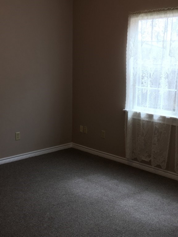 838 Tangle Oaks Dr, Bellville, TX 77418 - photo 3