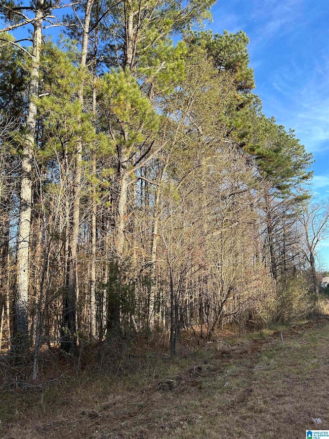 0 Highway 431 unit 21438889, Heflin, AL 36264 - photo 2