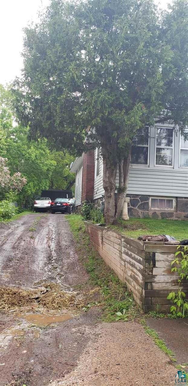 Private backyard with mature trees abutting creek