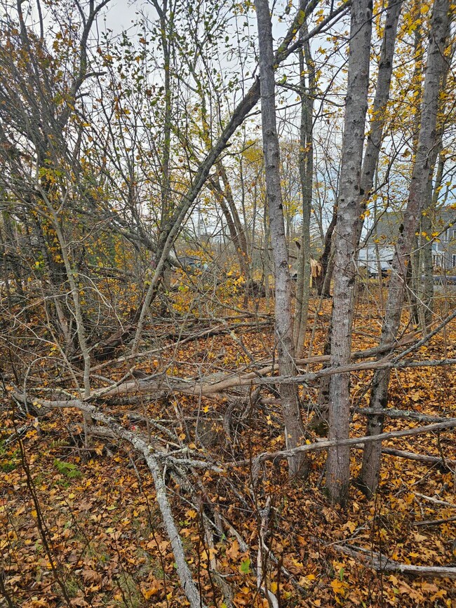 109 Main St, Franklin, ME 04634 - photo 6