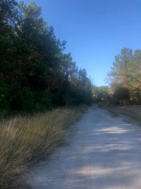 Atascocita Road at Barents.