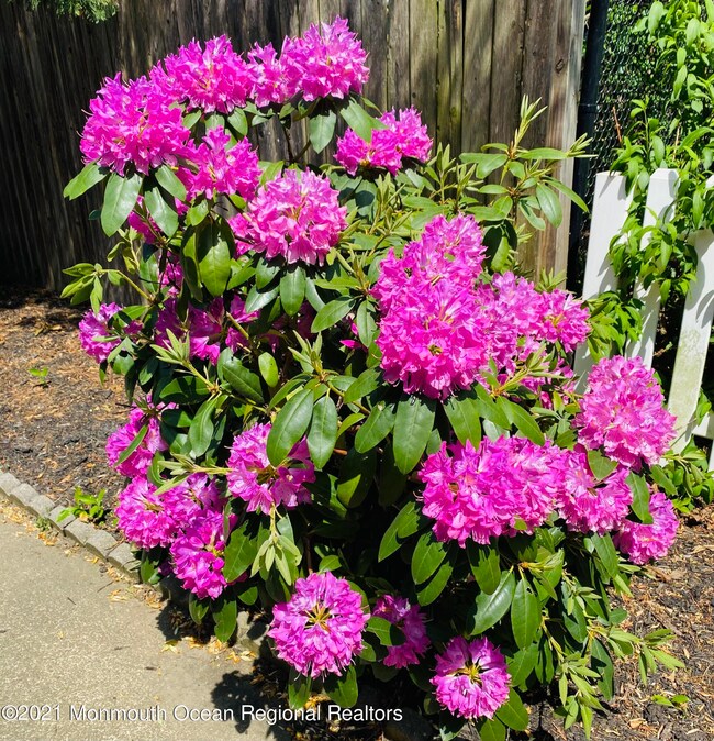 43 Lakeview Ave, West Long Branch, NJ 07764 - photo 3