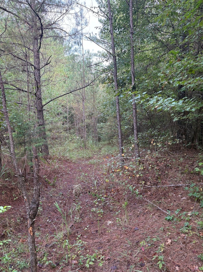 Ita Lee Rd, Guntown, MS 38849 - photo 3