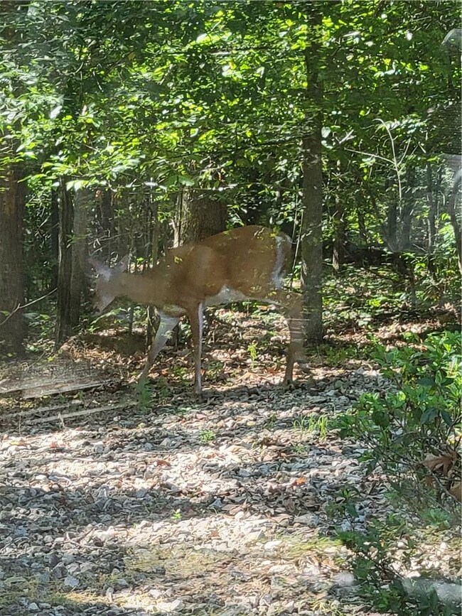 14 Wembly Cir, Bella Vista, AR 72715 - photo 3