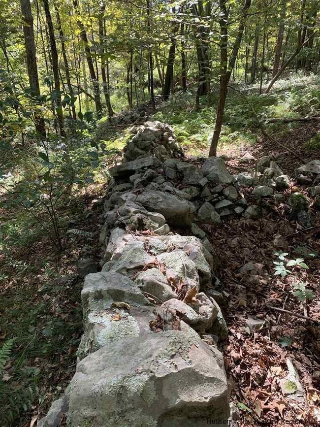 516 Swartekill Rd, New Paltz, NY 12561 - photo 4