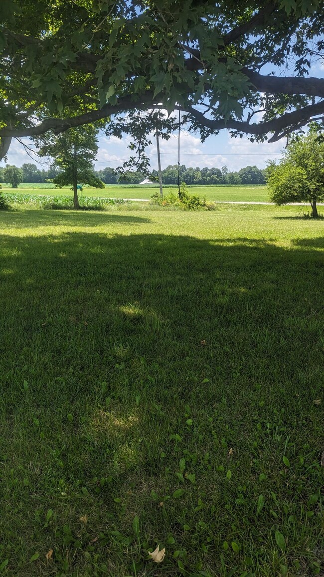 PXL_20230707_174639623.MP