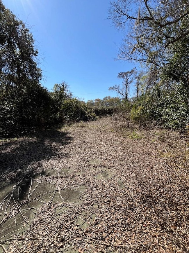 2325 Radium Springs Rd, Albany, GA 31705 - photo 3