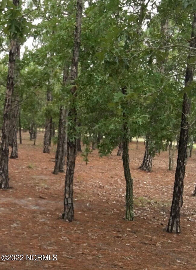 0 Ellen Anne Ct Wyndmere Dr unit 100300934, Southport, NC 28461 - photo 2