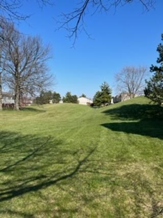 Michael View greenspace