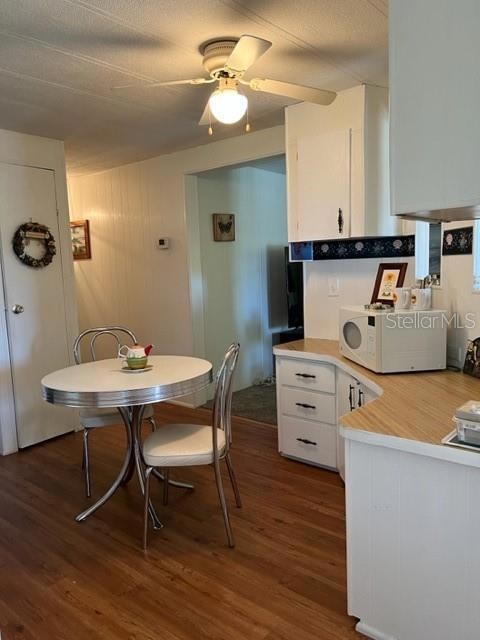 Kitchen with eat-in area, closet pantry, large storage area on right, and entry way to living room.