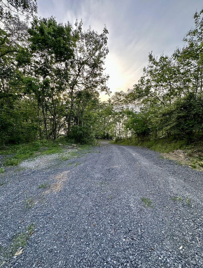 0 Tranquility Trail unit 20325655, Dandridge, TN 37725 - photo 5