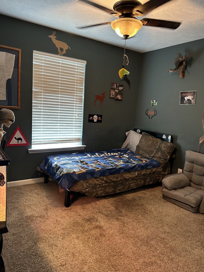 223 Jordan Ave, Shelbyville, TN 37160 - photo 5