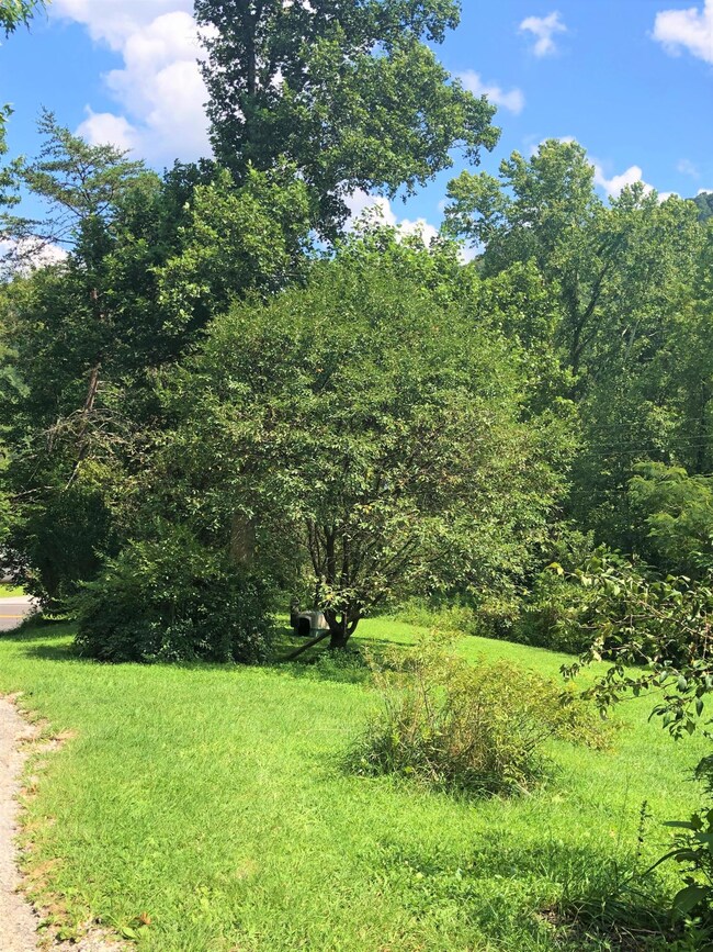 IMG-1537 (1)