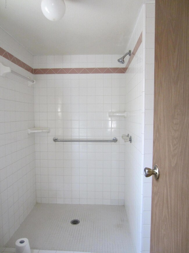 Tile shower in master bath