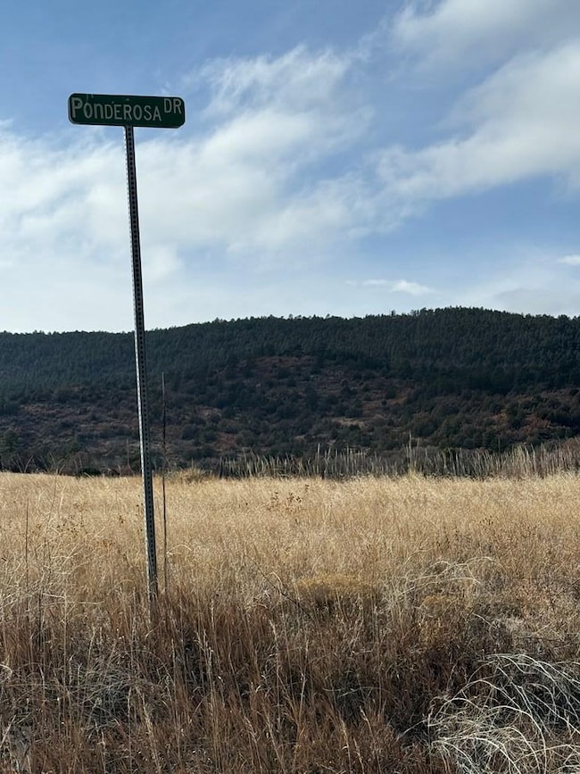 tbd Ponderosa Dr, Colorado City, CO 81019 - photo 5