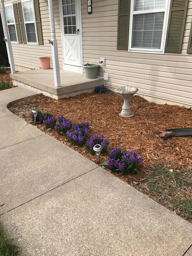 spring bed