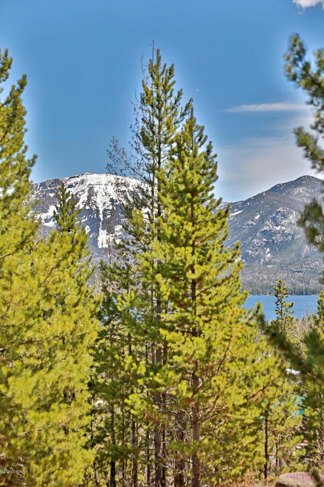 200 Tall Pine Cir unit A, Grand Lake, CO 80447 - photo 4