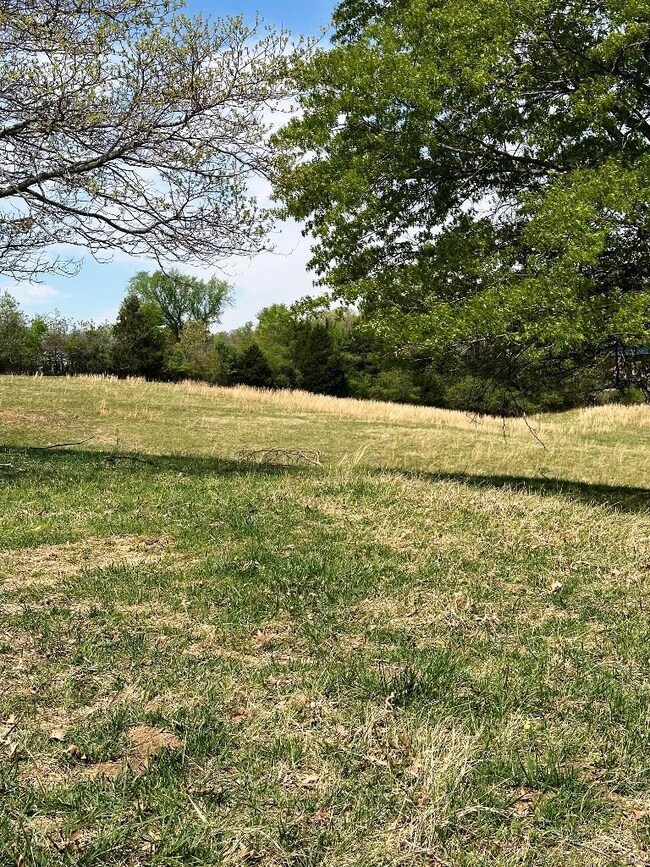 0 Marble Hill Rd, Poplar Bluff, MO 63901 - photo 7