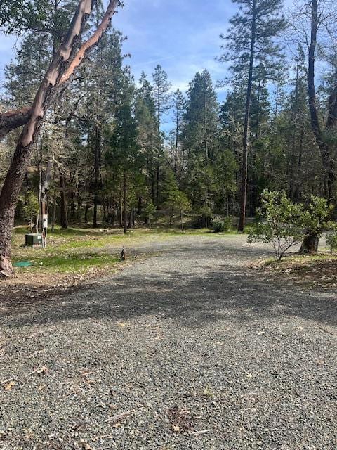 255 Pine Tree Dr, Williams, OR 97544 - photo 6