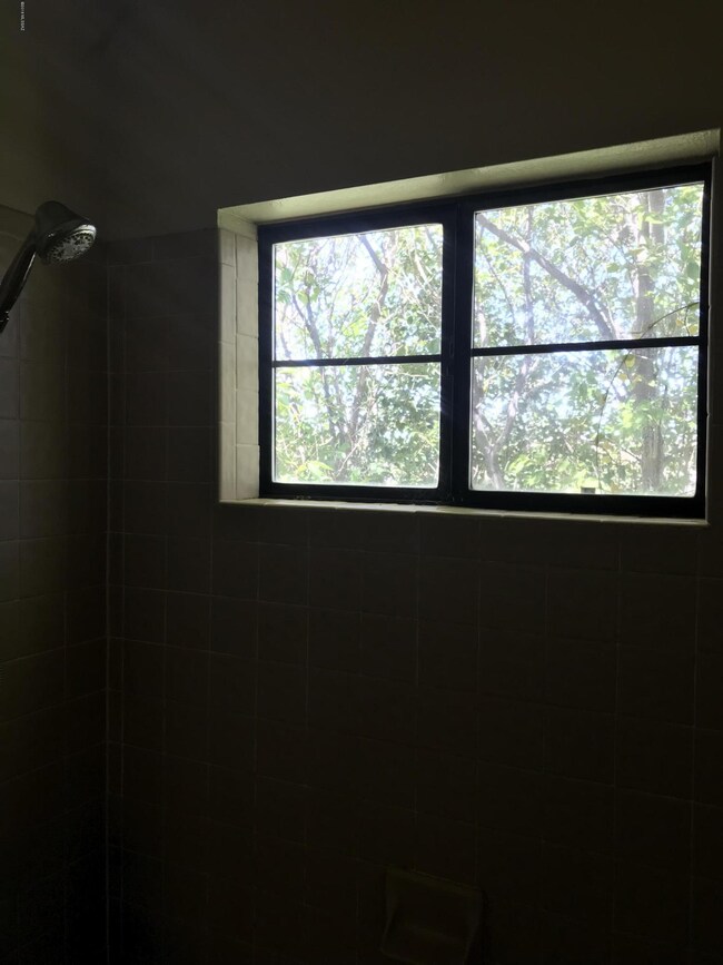 Shower window view