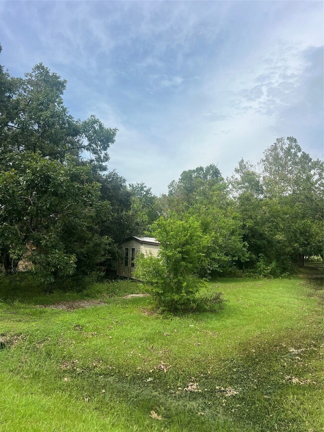 4107 County Road 424, Alvin, TX 77511 - photo 5