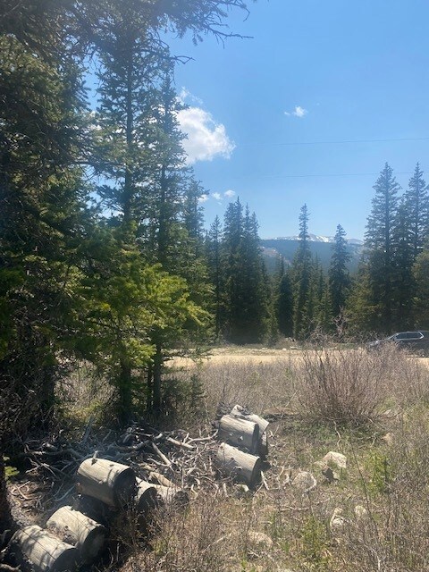 0 Tbd unit S1027519, Fairplay, CO 80440 - photo 7