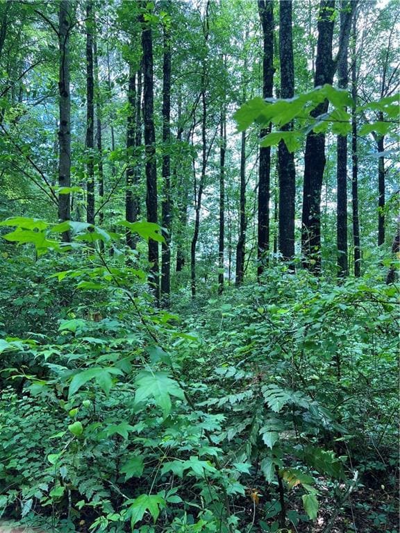 View of undeveloped land