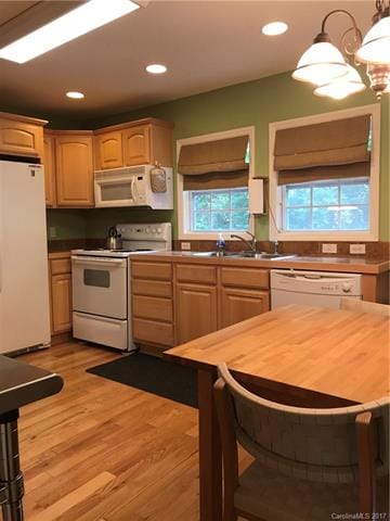 6 Warren Ave, Asheville, NC 28803 - photo 7