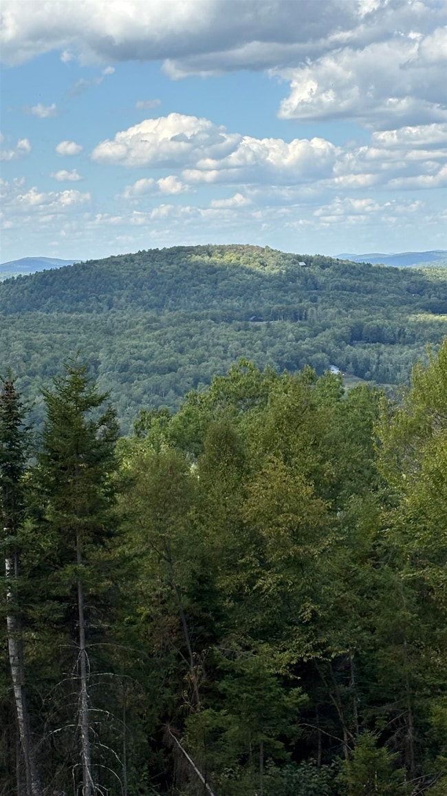 11 Summit Dr, Franconia, NH 03580 - photo 5