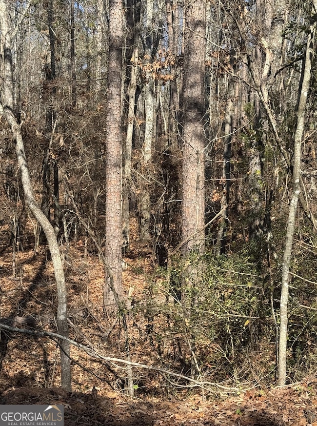 0 Arrowhead Dr unit 10651810, Delta, AL 36258 - photo 4