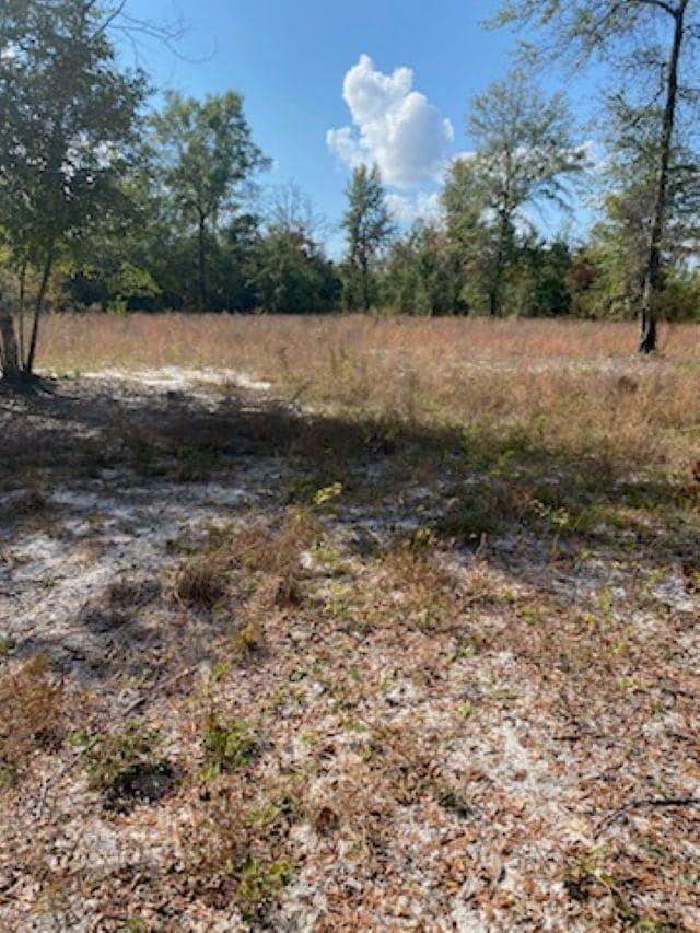 0 Ashley Hall Rd unit 393085, Crawfordville, FL 32327 - photo 6
