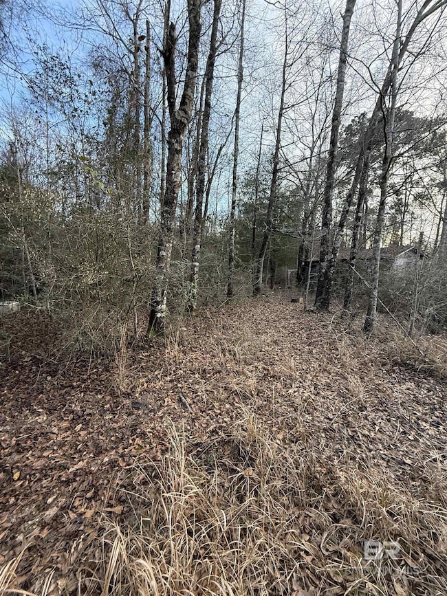 0 Harmon Williams Rd unit 374119, Mobile, AL 36608 - photo 4