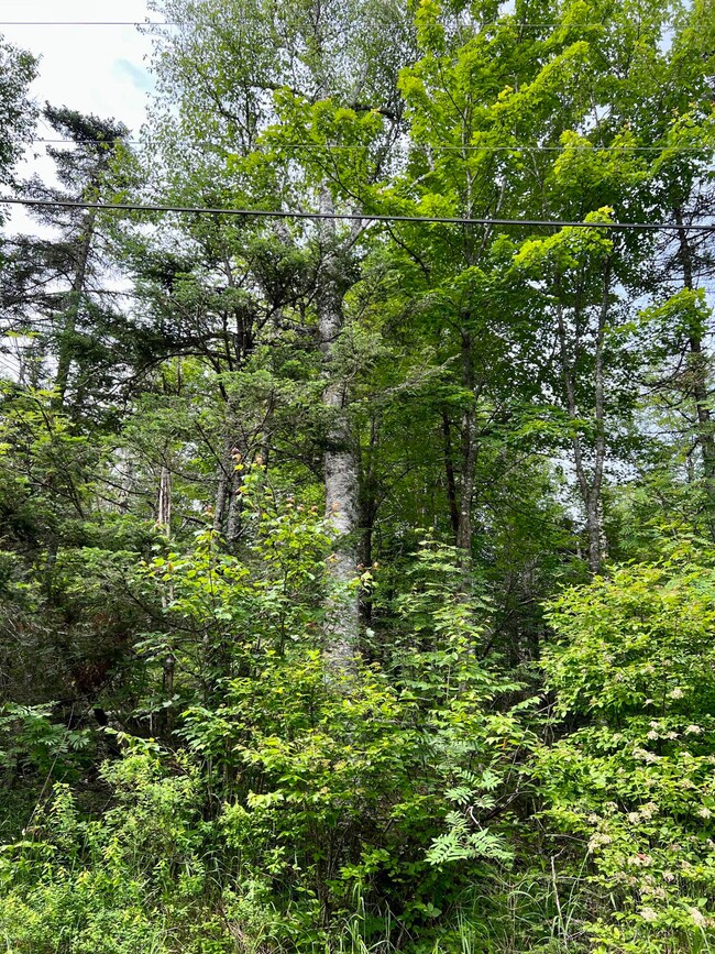 Lot  1B Duck Cove Rd, Roque Bluffs, ME 04654 - photo 2