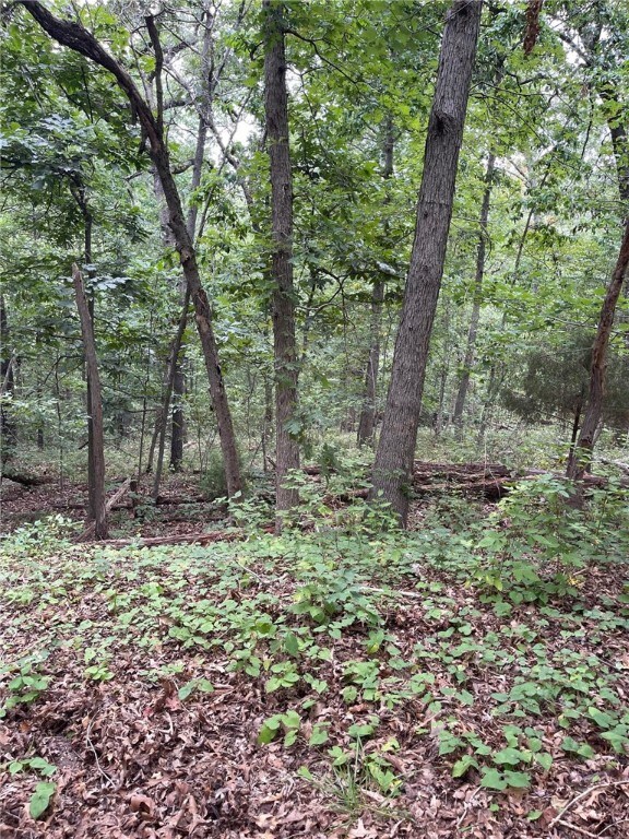 Lot 15 Coatbridge Place, Bella Vista, AR 72715 - photo 2