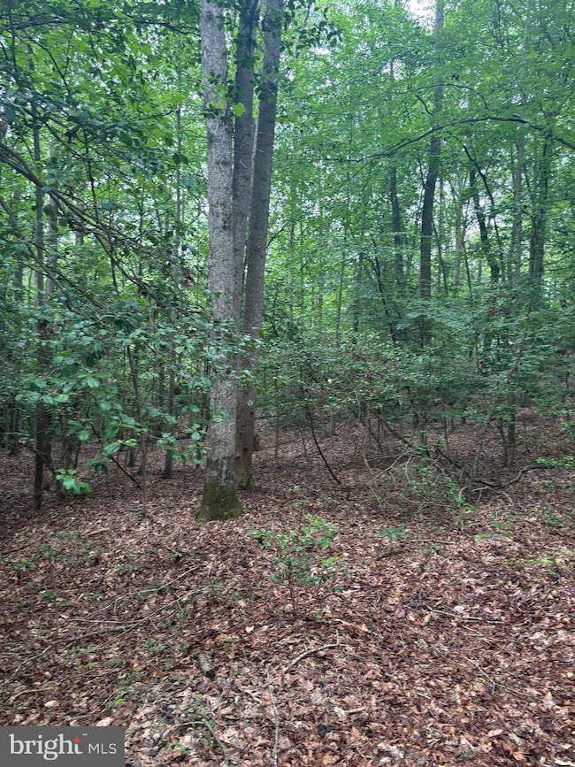 16661 Bald Eagle School Rd, Brandywine, MD 20613 - photo 5