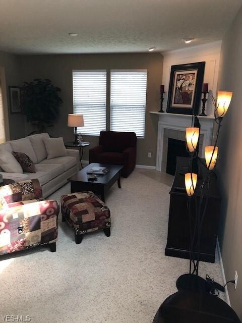 3952 Gardiner Run, Copley, OH 44321 - photo 2