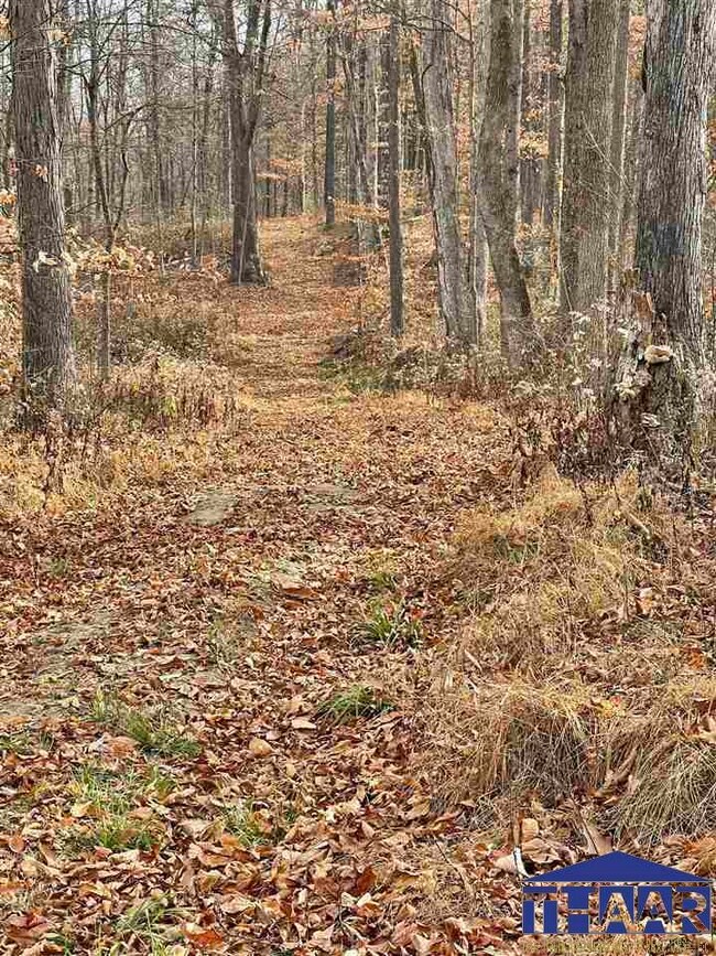 00 Suttle Rd, Bloomfield, IN 47424 - photo 4