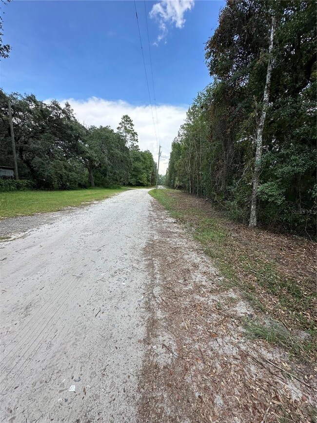 TBD NE 234th Place, Fort McCoy, FL 32134 - photo 7