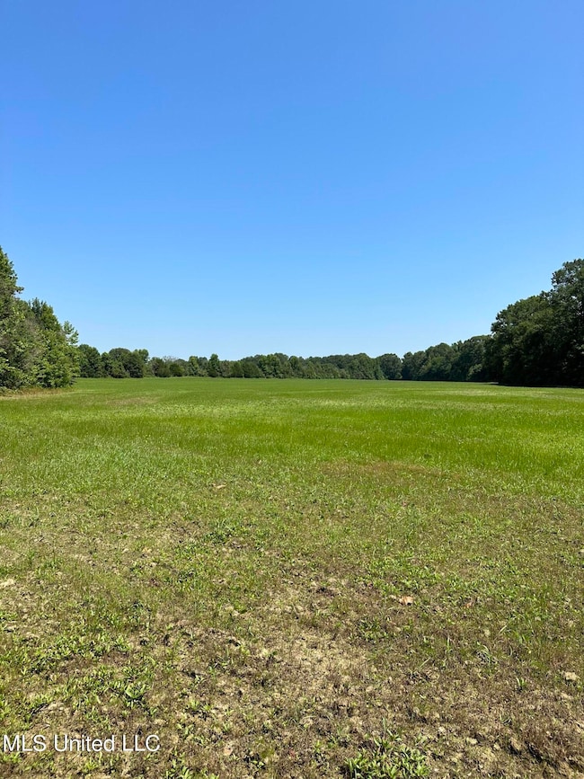 Field