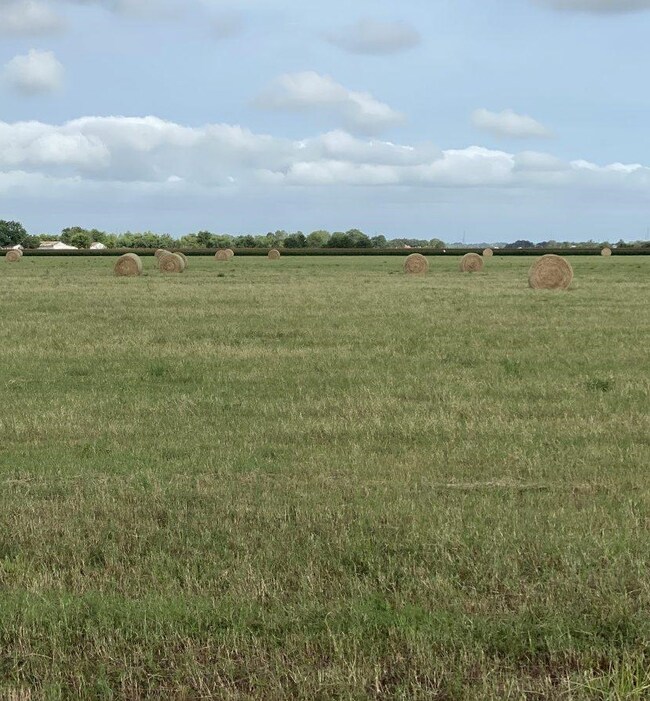 000 Padon Rd, Needville, TX 77461 - photo 6