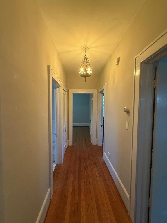 1901 Avon Rd SW unit Lower, Roanoke, VA 24015 - photo 6