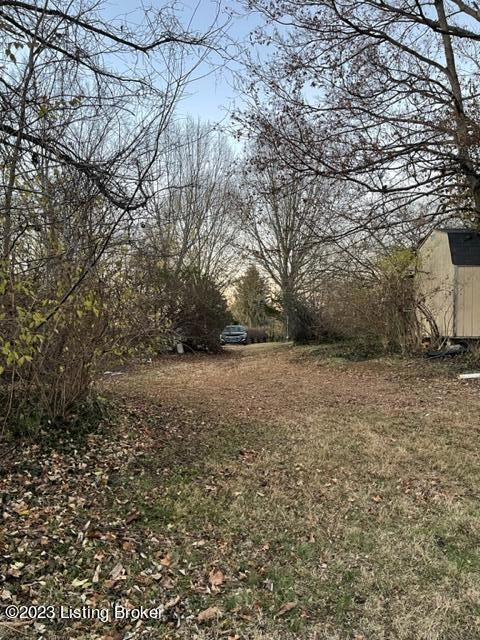 side yard by driveway