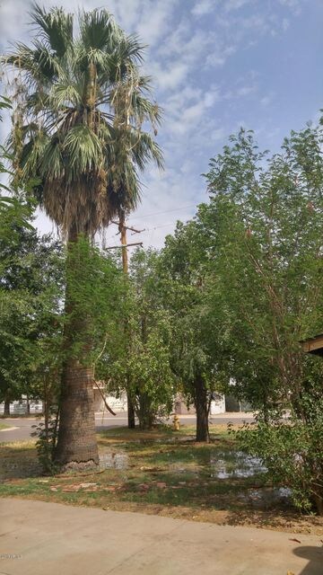 Front yard