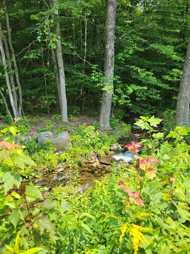 00 Mountain Rd, Sanbornton, NH 03269 - photo 6