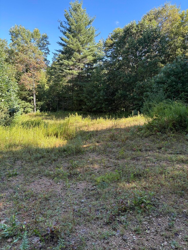 0 Morris Branch Rd unit 25-1144, Meadow Bridge, WV 25976 - photo 7