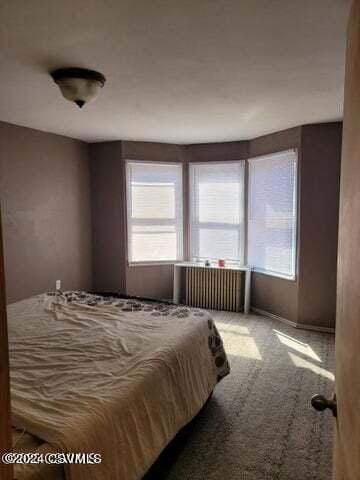 1253 W Arch St unit 1255, Coal Township, PA 17866 - photo 6