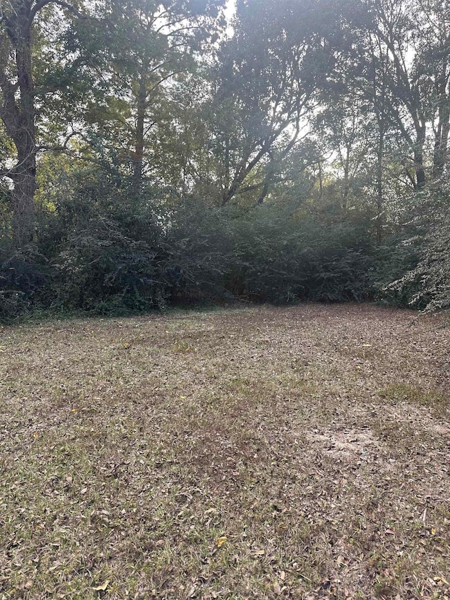 000 N Garden Dr unit Lot 4 Tract 4 Beauxa, Beauxart Gardens, TX 77705 - photo 2