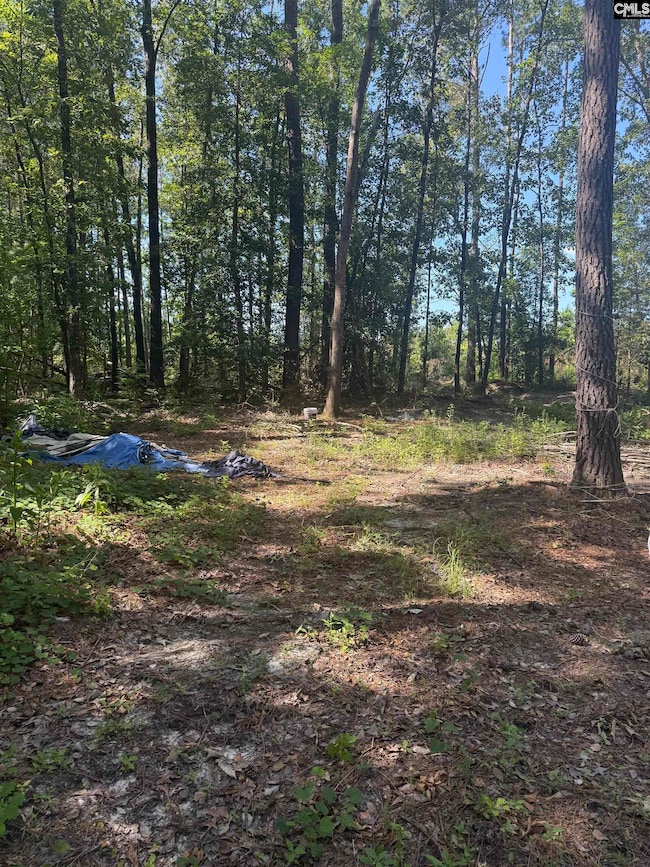 1503 Spears Creek Rd, Lugoff, SC 29078 - photo 3