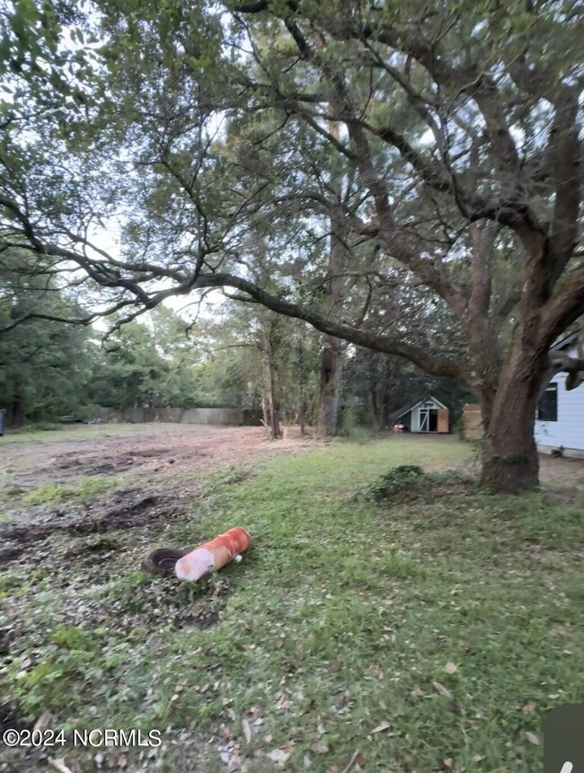Oak