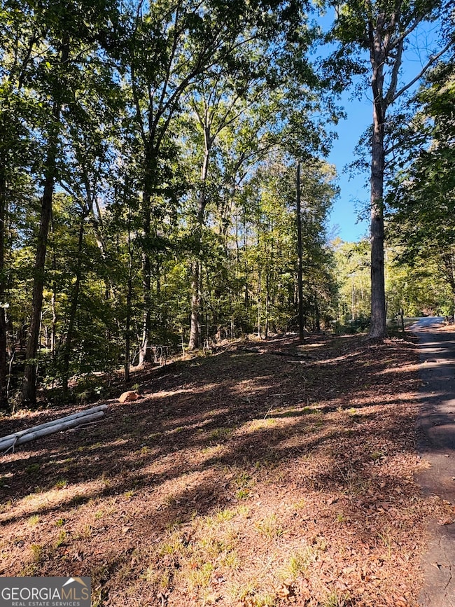 1516 Stark Rd, Jackson, GA 30233 - photo 4